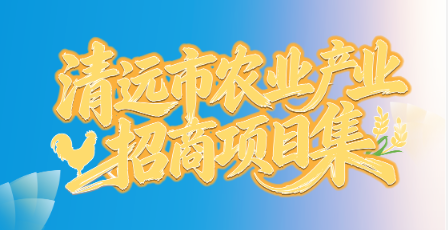 微信图片_20260428155445_2284_139.png